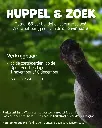 Uitleg - Alpacca in de wei.webp