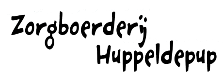 Huppeldepup-VZW